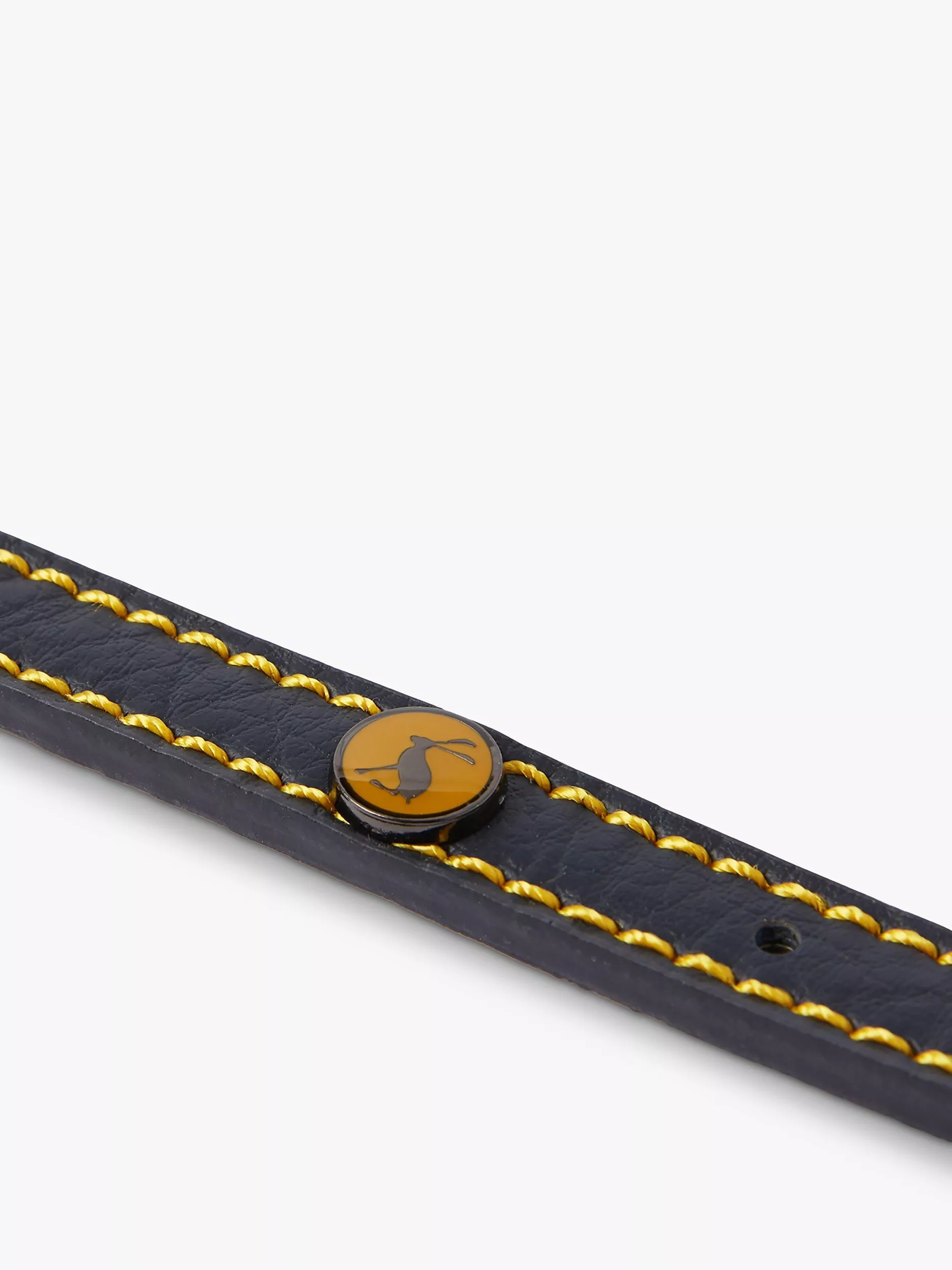 Collar para perros de cuero liso de Joules